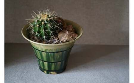 多治見市×春日井市コラボ 【美濃焼】 陶芸家「鈴木徹」 植木鉢 L × 【日本有数のサボテン産地】 春日井市の名店 後藤サボテン