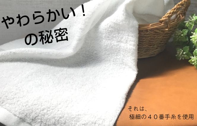 W081 ナチュレル ブラウン系セットＡ（フェイス・ハンド各1枚） お試し泉州タオル【泉州タオル 国産 吸水 普段使い 無地 シンプル 日用品 家族 ファミリー】