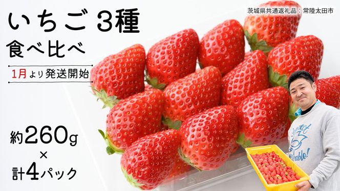 【 先行予約 】いちご 3種 食べ比べセット（4パック×1箱)【 2025年1月から発送開始 】 ( 茨城県共通返礼品 : 常陸太田市 ) 約 260g × 4パック いばらキッス ひたち姫 やよいひめ から 厳選して お届け 数量限定 果物 くだもの フルーツ 苺 イチゴ 期間限定 [ES003us]