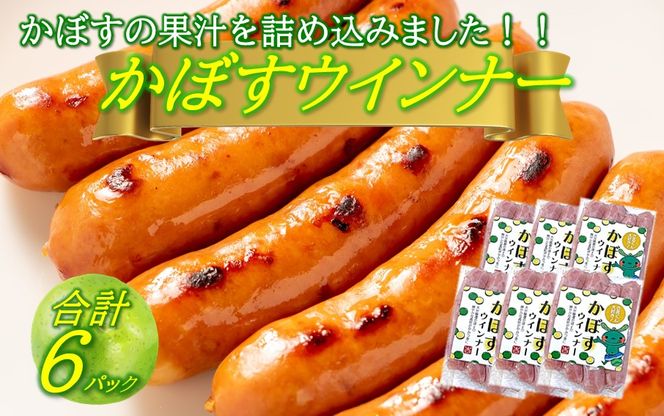 y啪szڂECi[ 100g×6pbN_2427R