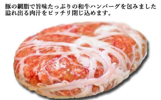 道産和牛ハンバーグ（200g）5個入り MROA045