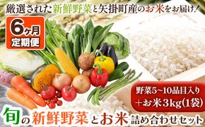 【6ヶ月定期便】旬の新鮮野菜とお米詰め合わせセット 野菜5～10品目入 青空市きらり《お申込み月の翌月から出荷開始》岡山県 矢掛町 野菜 野菜詰め合わせ 米 米3kg トマト きゅうり アスパラガス 玉ねぎ リーキ 送料無料---osy_cakrystei_24_90500_mo6num_s---