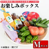 【07809】東串良物産館のおたのしみBOX-Mサイズ！【東串良物産館】