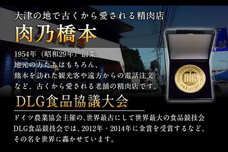 馬刺・赤身&霜降りセット 計400g 《60日以内に出荷予定(土日祝除く)》 赤身馬刺し 霜降り馬刺し 肉乃橋本 冷凍 ブロック---so_fhasiasi_60d_23_29500_400g---