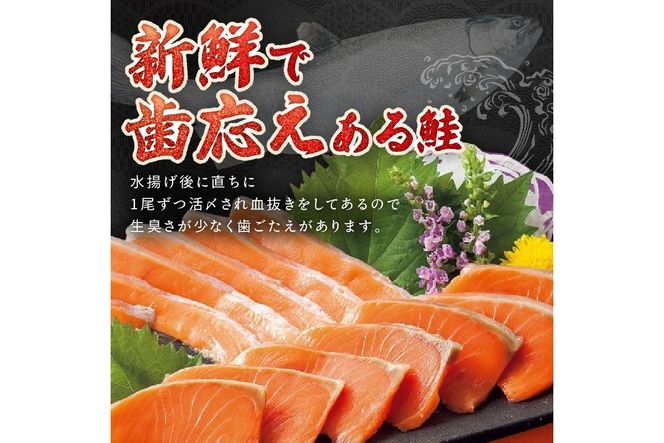 【数量限定100】絶品！お手軽！骨抜き！日本海産 サーモンフィーレ 約1.3kg　サーモン 魚 魚介 海鮮 おかず おつまみ 刺身 カルパッチョ ふるさと納税 サーモン 刺身 鮭 フィレ 海鮮丼 寿司 サラダ ソテー 冷凍 お取り寄せ グルメ YK00161