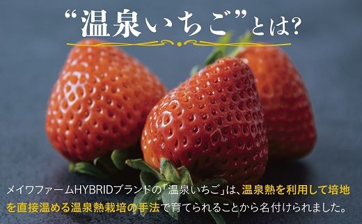 1610 鳥取県産とっておき「温泉いちごJUNBERRY」