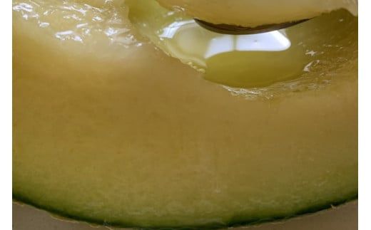 【先行予約】オリジナルブランド藤右衛門メロン2玉 芳醇な薫り緻密な果肉 爽やかな甘みをぜひお楽しみください ※離島への配送不可 ※2026年5月下旬～6月下旬頃に順次発送予定