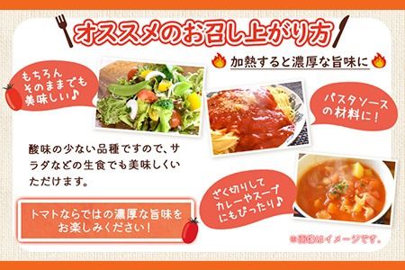 和歌山産 ミニトマト アイコトマト 約2kg SまたはMサイズ サイズ