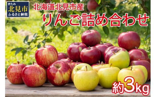 【予約：2026年10月から順次発送】季節のりんご詰め合わせ 3kg ( りんご リンゴ 林檎 詰合せ 3kg 旭 つがる 黄王 レッドゴールド ジョナゴールド 昴林 森の輝き 王林 ふじ )【044-0002-2026】
