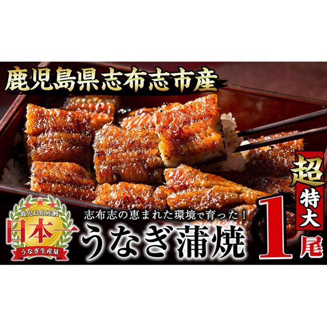 【数量限定】うなぎの大楠＜超特大＞1尾190g a2-075