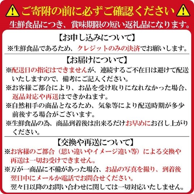 【期間限定・数量限定】鹿児島県産朝採れイチゴ「紅ほっぺ」計1kg(250g×4パック) a0-257