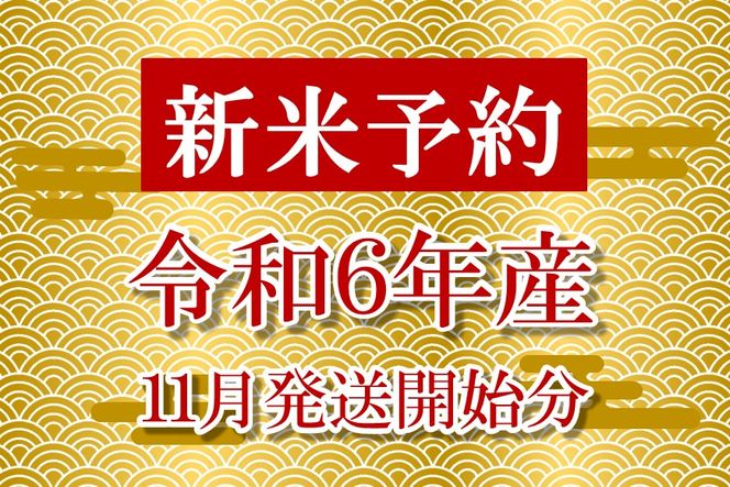 [A248] 【定期便】【新米予約（11月発送開始）】【無農薬】【玄米】能登のこだわり自然栽培こしひかり『羽咋米』 10kg×３回コース