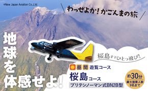 【昼間遊覧飛行】桜島コース　ブリテンノーマン式BN2B型（大人9名まで）　K222-FT006