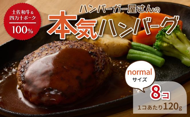 ymˎszno[K[̖{Cno[O960i120×8jsd021