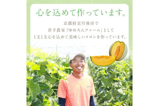 【先行予約／数量限定100】ゆめろんファームの赤肉メロン（2026年6月上旬～発送）　DE00154