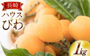 【2026年4月中旬〜発送】長崎ハウス びわ 約1kg (250グラム×4パック) / フルーツ びわ ビワ 枇杷 柑橘 / 南島原市 / 長崎県農産品流通合同会社 [SCB089]