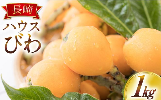 【2026年4月中旬〜発送】長崎ハウス びわ 約1kg (250グラム×4パック) / フルーツ びわ ビワ 枇杷 柑橘 / 南島原市 / 長崎県農産品流通合同会社 [SCB089]