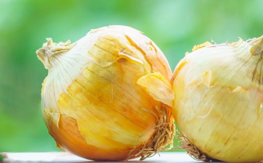【2026年3月〜発送】【甘くてジューシー 】新たまねぎ 先行予約 サラダ たまねぎ 5kg  玉ねぎ / 南島原市 / 長崎県農産品流通合同会社 [SCB025]