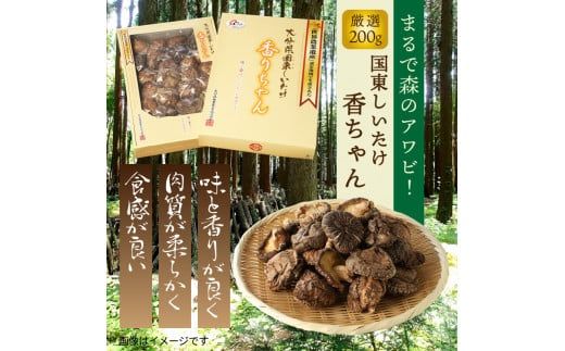 まるで森のアワビ！国東しいたけ香りちゃん（厳選200g）_29253A
