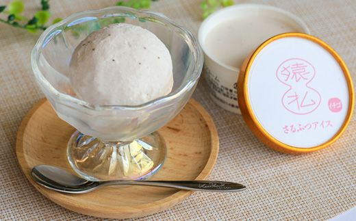 さるふつ牛乳アイスクリーム バラエティ20個セット【0302601】