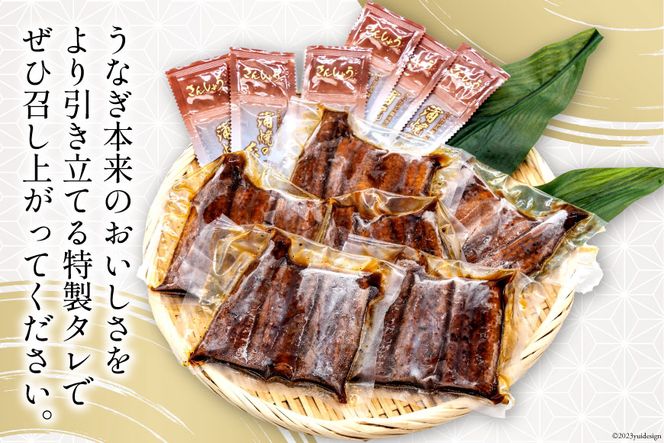 うなぎ 国産 静岡 うなぎ蒲焼 カット 80g ×6 計480g [静岡鰻販売 静岡