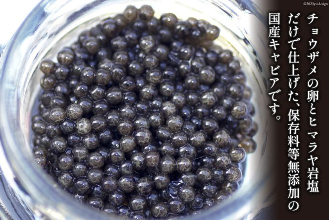 キャビア 日向キャビア (Hyuga Caviar) 20g 桐箱入り  [ウィズ・クリエイティブ  宮崎県 日向市 452060324] 冷凍 宮崎 国産 チョウザメ フレッシュ