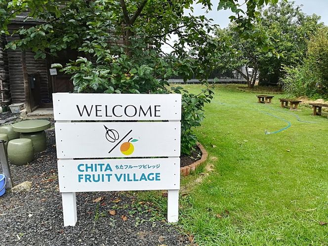 国産(美浜町産)ブラッドオレンジオーナー制度 ◆