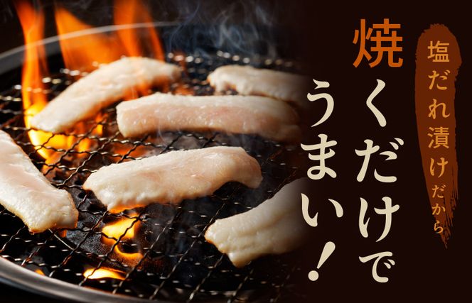010B1514 味付き 豚トロ 1.2kg【小分け 300g×4P 焼肉用 塩だれ 焼くだけ 小分け BBQ やきにく 数量限定】