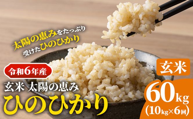 【令和6年産 予約受付】玄米 岡山県産 ひのひかり 笠岡産 60kg(10kg×6回)《10月下旬-9月下旬頃出荷》農事組合法人奥山営農組合 太陽の恵み---O-06_60k_玄米---