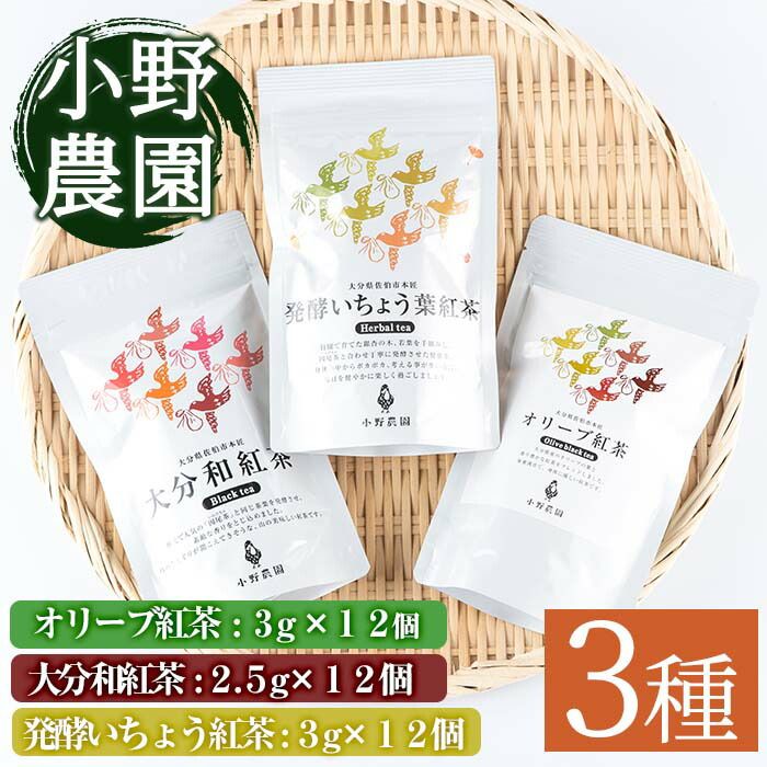 紅茶 ティーバッグ 3種セット (オリーブ紅茶、和紅茶、いちょう葉紅茶・各12個) お茶 紅茶 茶 茶葉 セット 詰め合わせ 大分県 佐伯市[ES04][小野農園]