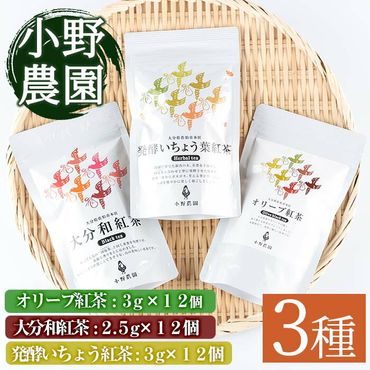 紅茶 ティーバッグ 3種セット (オリーブ紅茶、和紅茶、いちょう葉紅茶・各12個) お茶 紅茶 茶 茶葉 大分県産 セット 詰め合わせ 大分県 佐伯市[ES04][小野農園]