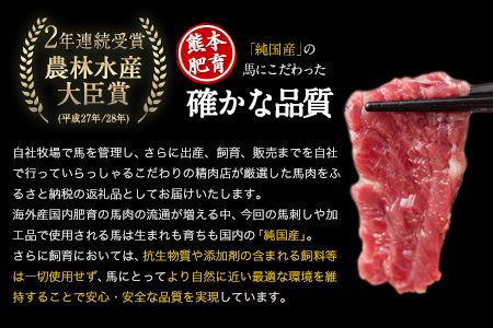 純国産馬刺し＆馬肉料理福袋 計1kg 熊本肥育 2年連続農林水産大臣賞受賞 送料無料 上赤身馬刺し100g たてがみ50g 馬とろ150g 馬ソーセージ500g 燻製 霜降り ハン馬ーグ200g(2個入り) タレ付き 熊本県長洲町《90日以内に出荷予定（土日祝除く）》---ng_fba5syu_90d_r7_13000_1kg---