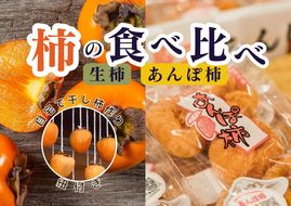 【2回定期便】【季節限定】柿の食べ比べ 生柿 りんご あんぽ柿セット ※沖縄・離島への配送不可 ※2025年12月上旬～2026年2月下旬頃に順次発送予定