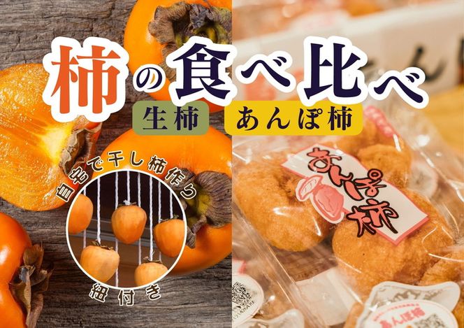 【2回定期便】【季節限定】柿の食べ比べ 生柿 りんご あんぽ柿セット ※沖縄・離島への配送不可 ※2025年12月上旬～2026年2月下旬頃に順次発送予定