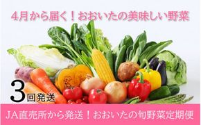 4月からお届け!おおいたの旬野菜定期便/計3回発送_2394R