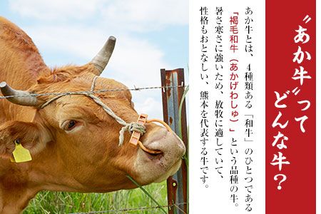 肥後のあか牛（熊本県産）すき焼き用1000g 南阿蘇食品《90日以内に出荷予定(土日祝除く)》---sms_fmashgsk_90d_24_26000_1kg---