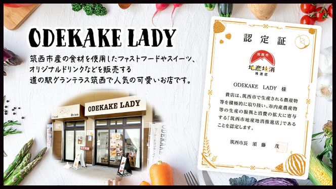 【ODEKAKE LADY】レトロプリン６個セット 贅沢 平飼い卵 昔プリン ぷりん [BW068ci]