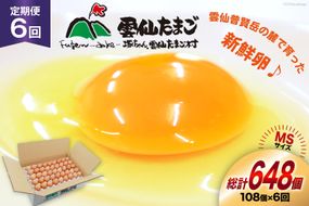 BI044 6回 定期便 たっぷり！ 雲仙たまごMSサイズ 108個(100個＋割れ補償8個入り) [ 卵 たまご 生卵 鶏卵 赤卵 玉子 新鮮 塚ちゃん雲仙たまご村 長崎県 島原市 ]
