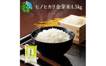 【B01018】大分丹生米の里ヒノヒカリ金芽米　4.5kg×1袋 