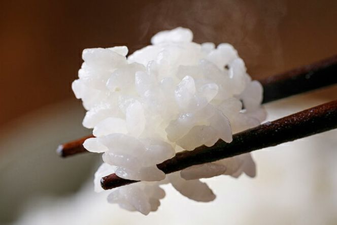 定期便 特別栽培米 コシヒカリ 7分づき5kg×1×6回 [農家にしの 石川県 宝達志水町 38600639] 米 お米 ご飯 ごはん