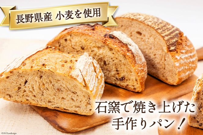 パン 定番パン5種 セット [しぜん酵母と石窯ぱん bungaーぶんがー 長野県 池田町 48110556] 手作りパン 天然酵母 自家製酵母 窯焼きパン ハードパン 長野県産