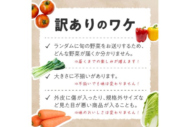 【定期便4回】直売所直送 「京都・京丹後産 季節の野菜」お任せ詰め合わせBOX（5品） 春夏秋冬定期便4回 食べ方・レシピ付き　JA00058