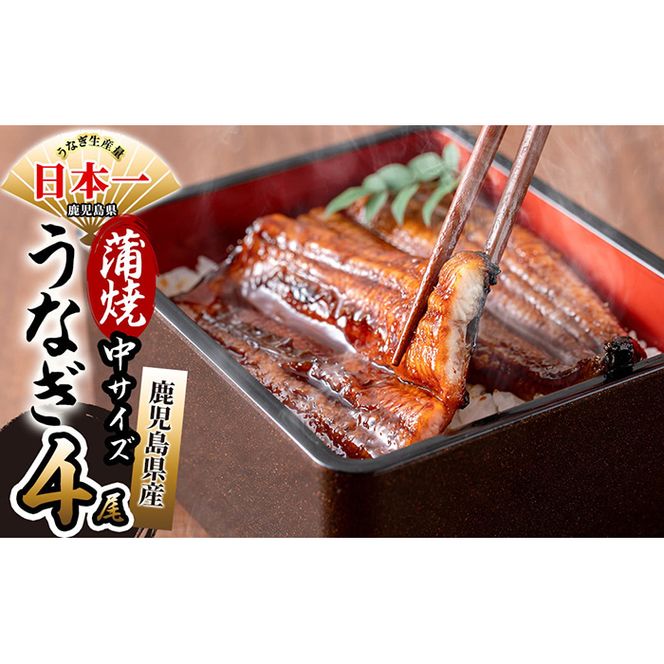 yuzuszY ɍĉȂ 150gȏい× 4(v600gȏ) b7-020