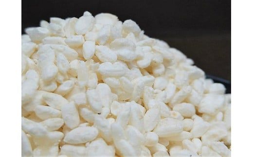 【無添加 生米麹】肥料不使用の自然栽培米のみで作った米麹300g×2袋 H140-023