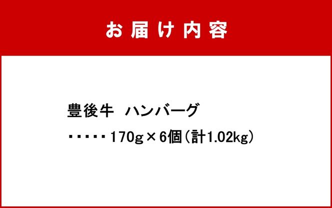 【黒毛和牛】豊後牛ハンバーグ計1.02kg(170g×6個)_2378R