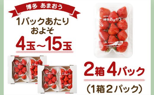 JAよりお届け!「博多あまおう」約280g×4パック【ほたるの里】_PA0433