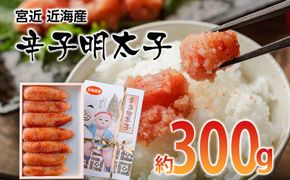 宮近 近海産 辛子明太子(約300g)