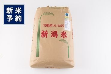 【新米受付・令和6年産米】NG4005 新潟県村上市産 特別栽培米コシヒカリ玄米900kg