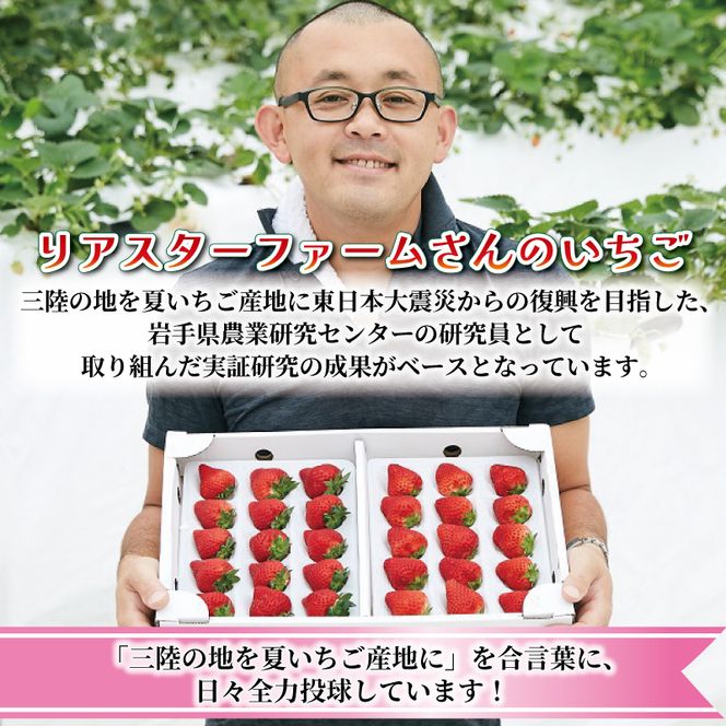 シフォンケーキ専門店が作る さんりく星苺のコンフィチュール 3瓶 食品添加物不使用 人口甘味料不使用 じゃむ ジャム いちご イチゴ いちごジャム イチゴジャム [goishifuon003]