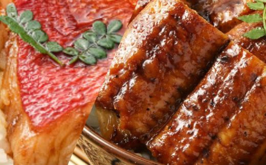 【ふるさと納税】初音の毎月お届け！定期便 _ 冷凍 調理済み 時短 湯せん お弁当 個包装 惣菜 小分け 子供 簡単調理 お取り寄せ 人気 湯煎 お湯ぽちゃ レトルト 温めるだけ　[hn069]